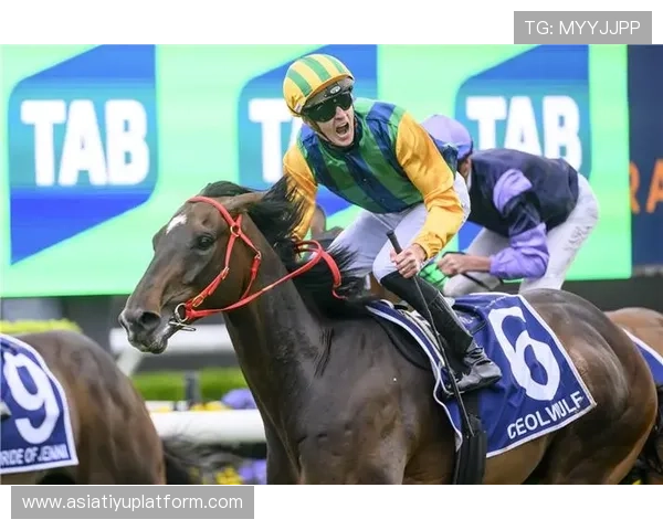 乐鱼体育靠谱欢迎你，加入我们享受丰富的体育竞猜项目，体验公平公正的线上竞技乐趣